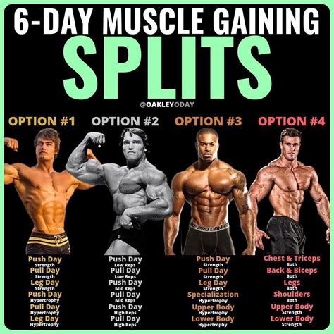 ppl/arnold split|6 Day Arnold Split – Chest and Back, Shoulders and。